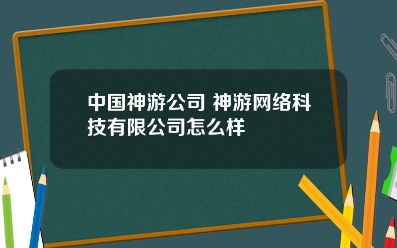 中国神游公司 神游网络科技有限公司怎么样